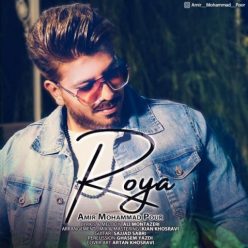 Amir Mohammad Pour   –  Roya